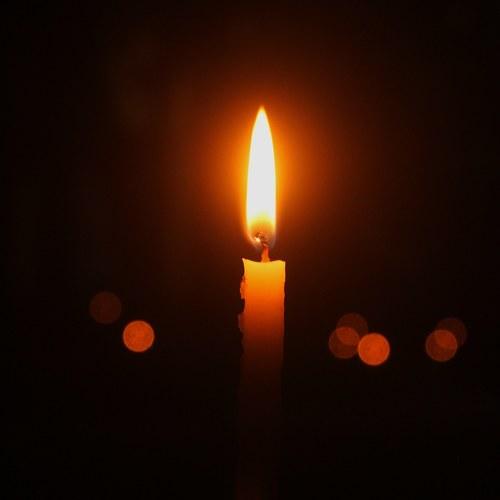 Photo #4468475