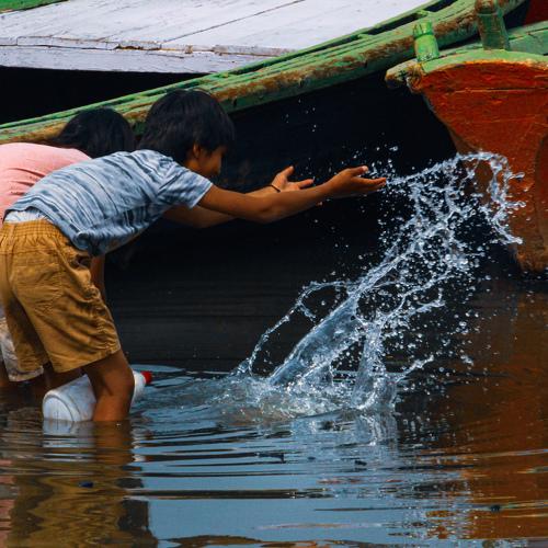 Photo #4468552