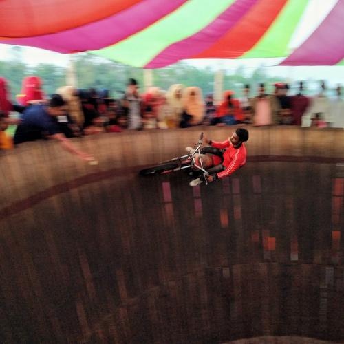 Photo #4468635