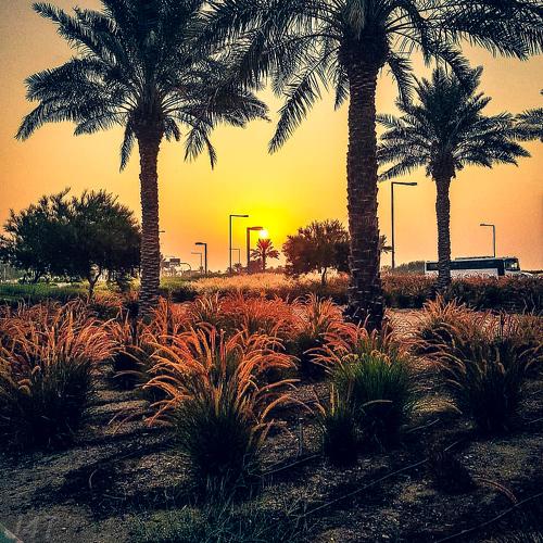 Sunrise