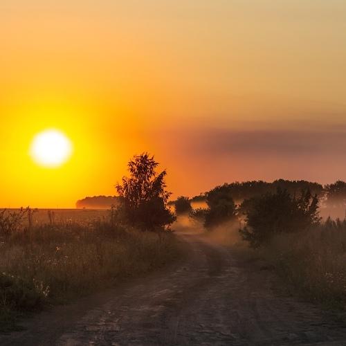 Photo #4469023