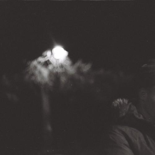 Photo #4469068