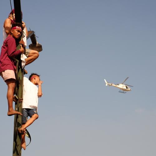 Photo #4469319