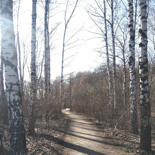 Photo #4469367
