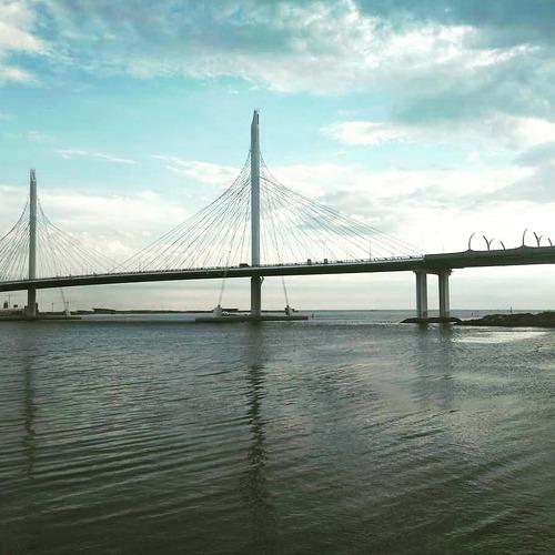 Photo #4469374