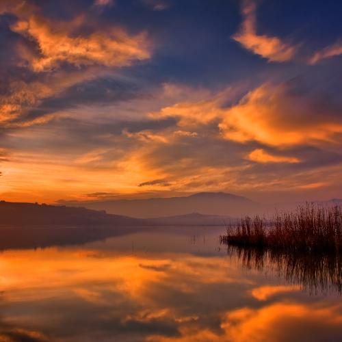 Photo #4469429