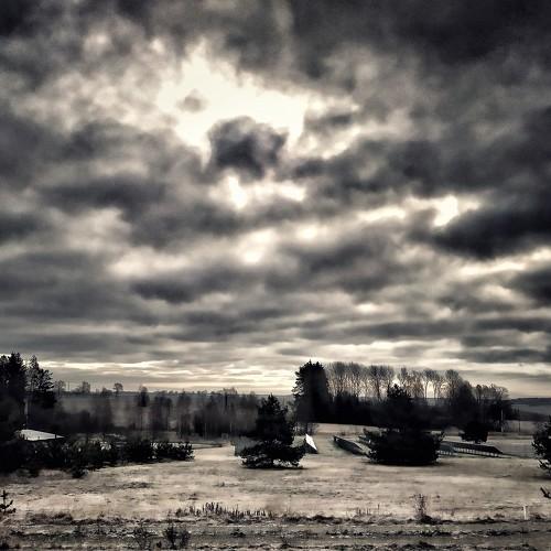 Photo #4469476