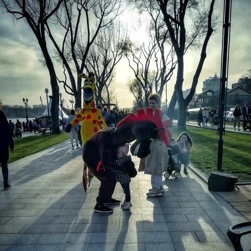 Photo #4469585