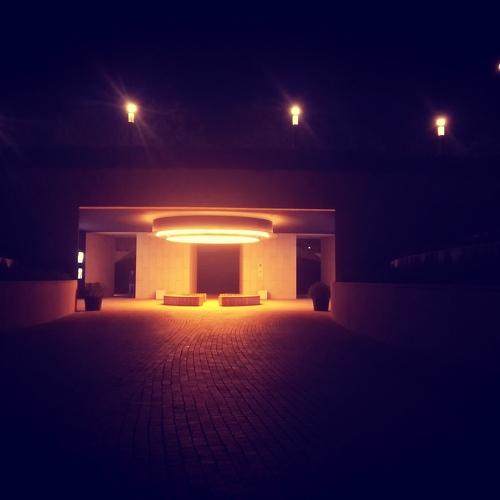 Photo #4469628