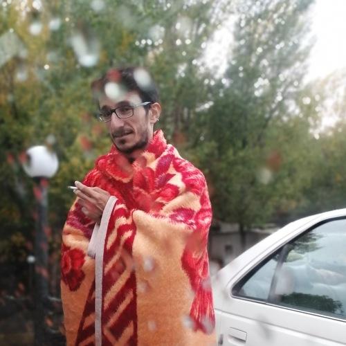 Photo #4469733