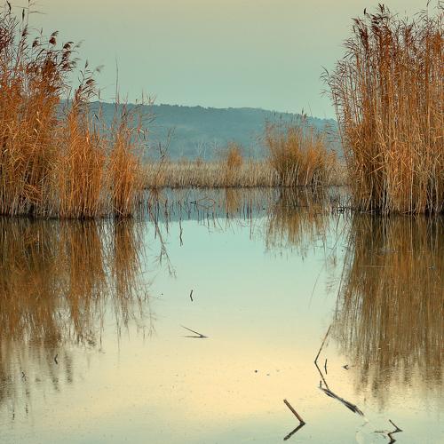 Photo #4469791