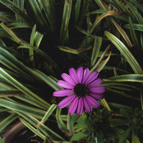 Photo #4469904