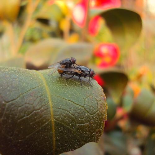 Photo #4469930