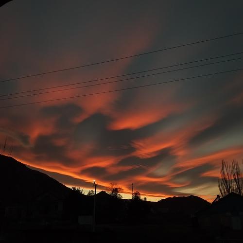 Photo #4470445