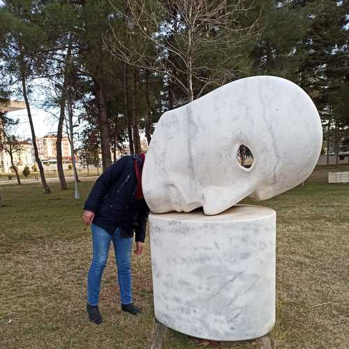 Photo #4470611