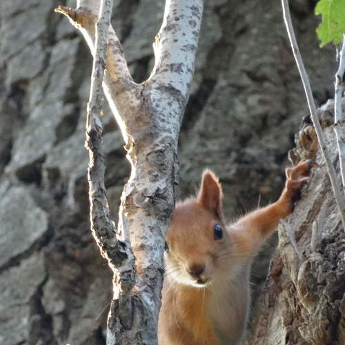 Photo #4470801