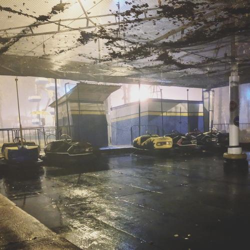 Photo #4470931