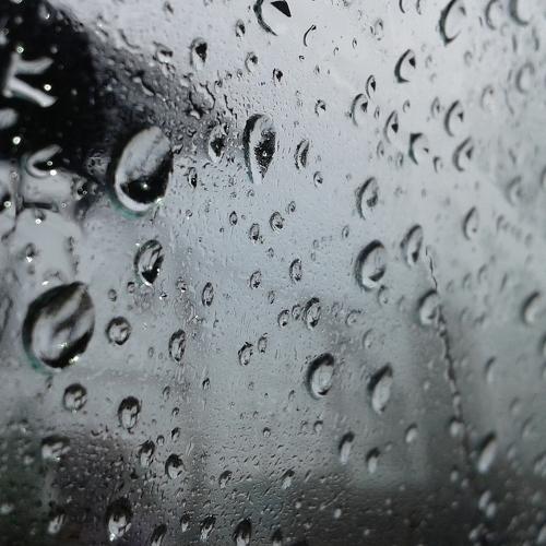 Photo #4471259