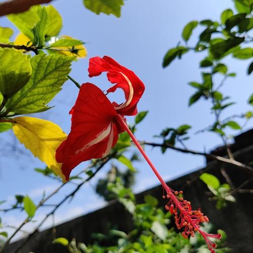Photo #4471275