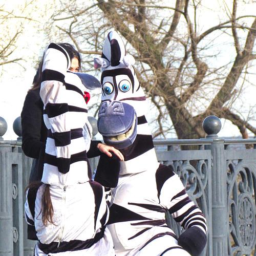 People in zebra costumes surrounded the girl. Close- up, reportage