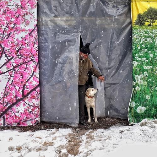 Photo #4472540