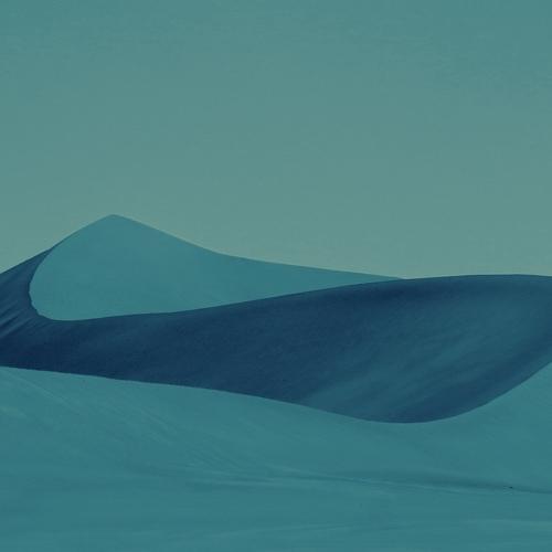 Photo #4473350