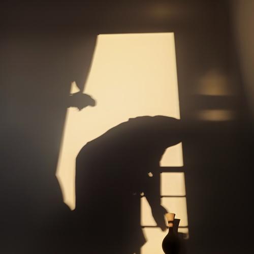 Photo #4473366