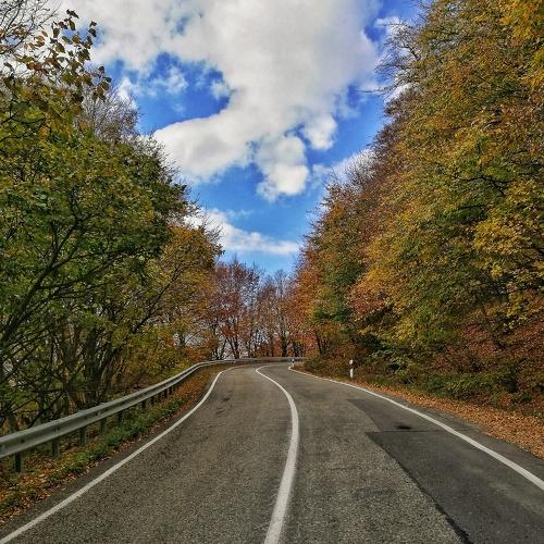 Photo #4473741