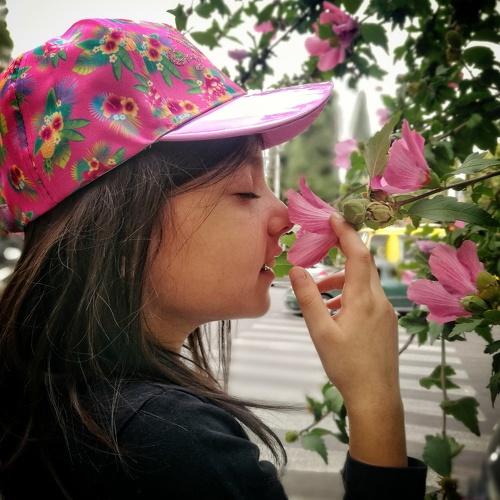 Photo #4473743