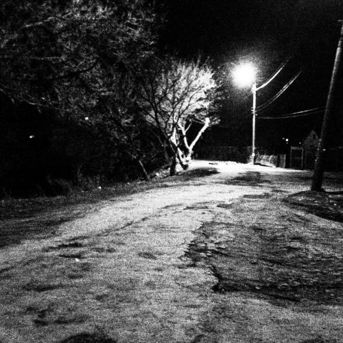 Photo #4473894