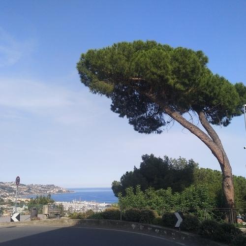 Photo #4473944