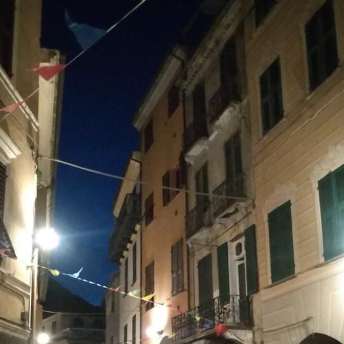 Photo #4473947