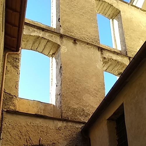 Photo #4473952