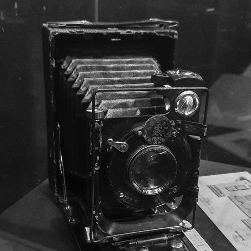 Photo #4474042
