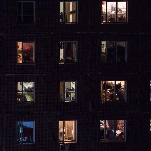 Photo #4474834