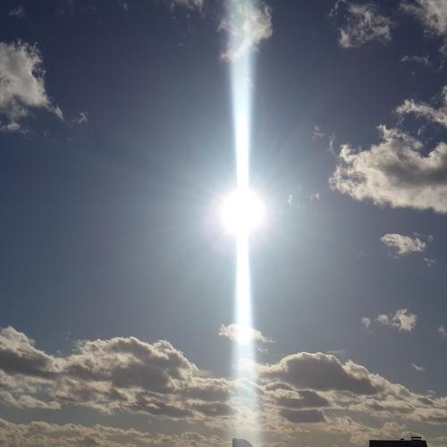 Photo #4475206