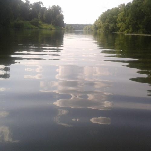 Photo #4475214