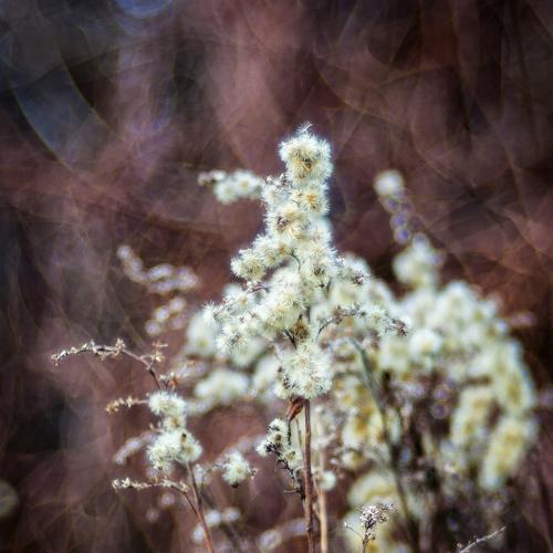 Photo #4475276