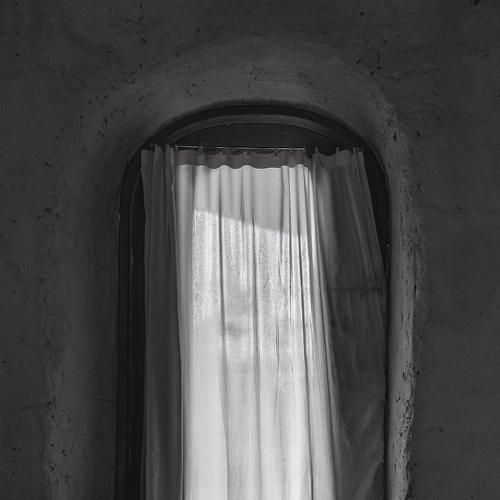 Photo #4475767
