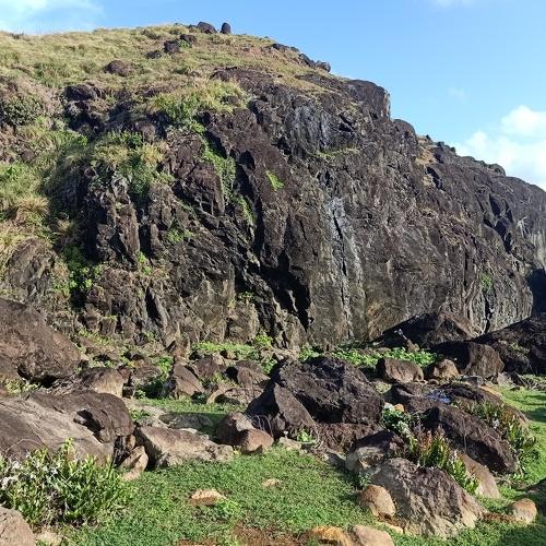Photo #4476103