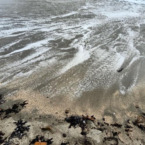 Photo #4476125