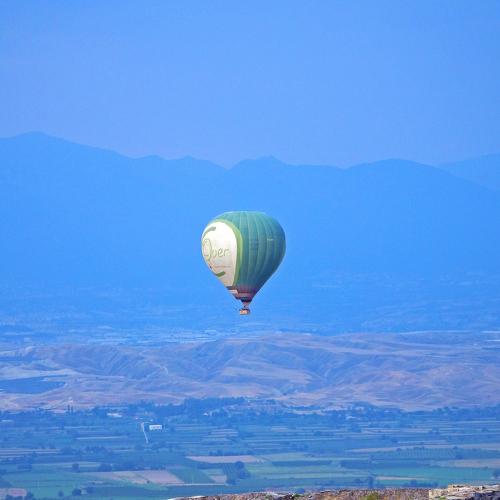 Photo #4476263