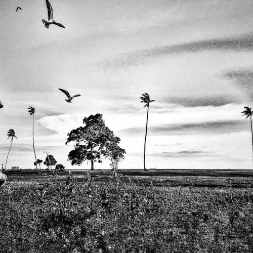 Photo #4476283