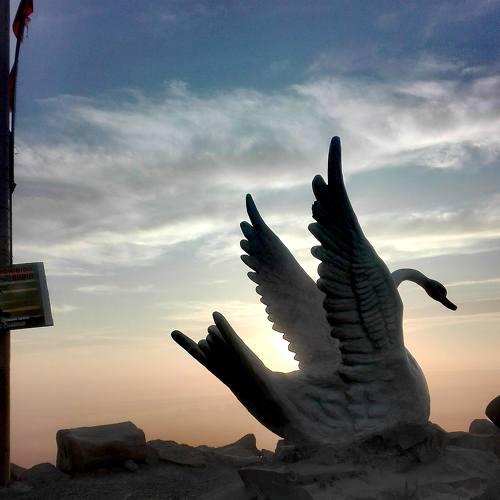 Photo #4476392