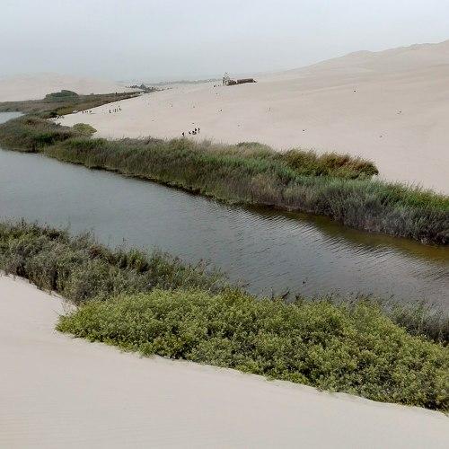 Photo #4476403
