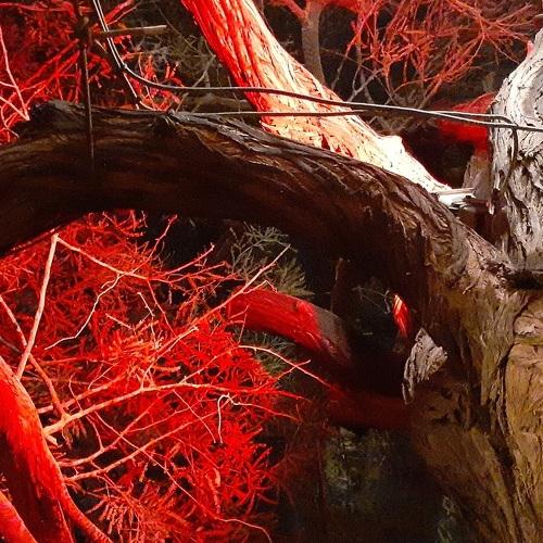 Photo #4476589