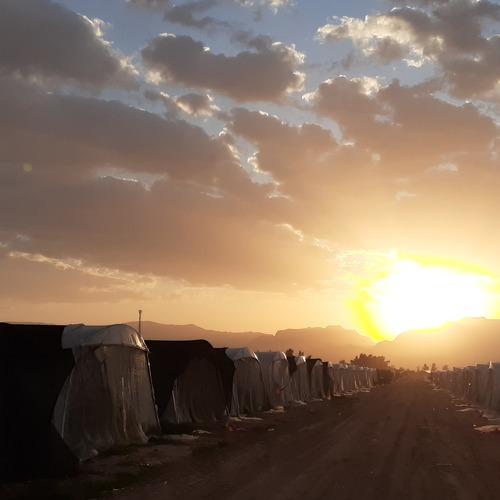 Photo #4476612
