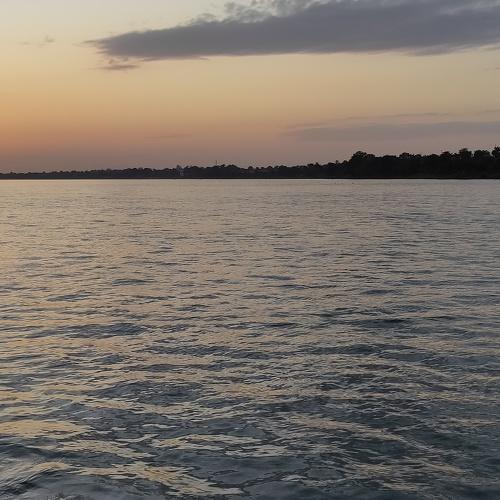 Photo #4476652