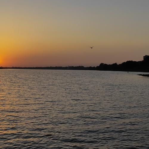 Photo #4476653