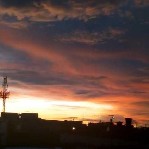 Photo #4476940